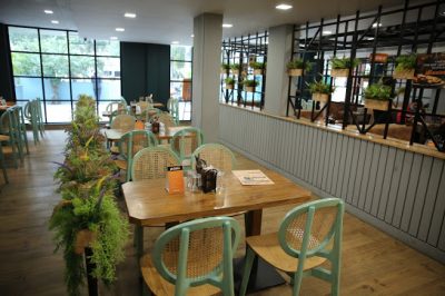 Greenery in Pots at Aryan Family’s Delight Gomti Nagar, Lucknow